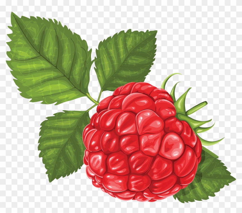 Rraspberry Png Image - Raspberry Illustration #572060