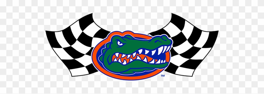 At Gator Motorsports, The Opportunity To Design, Manufacture, - Gator Head Uf Logo #572429