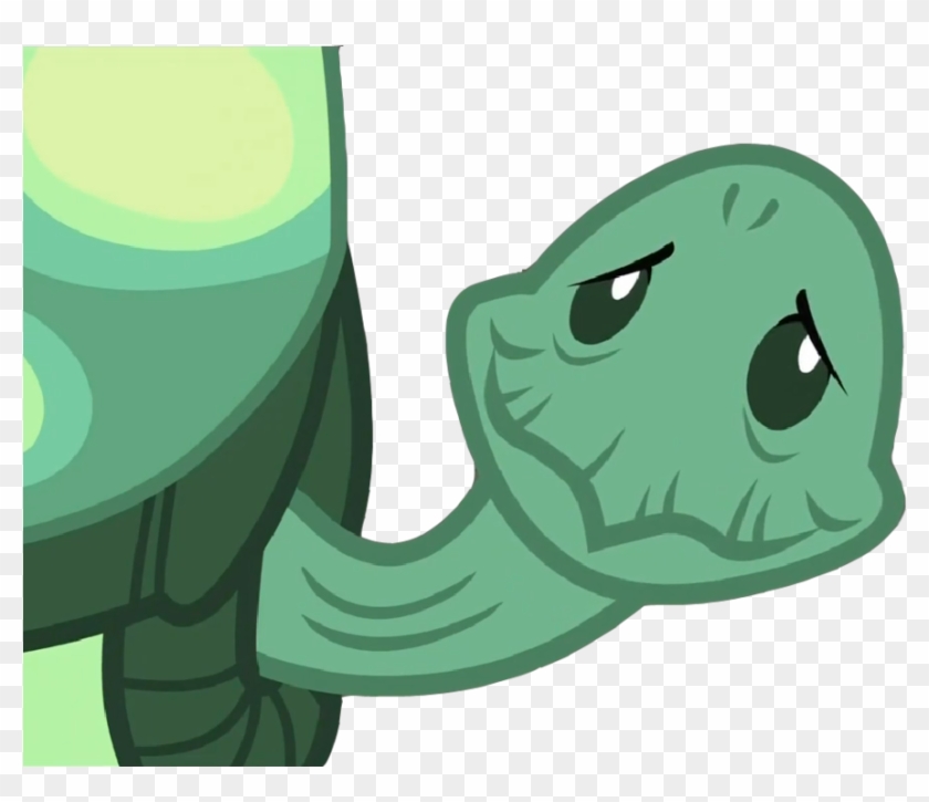 Tank The Tortoise By Brightrai - My Little Pony Tank #572439
