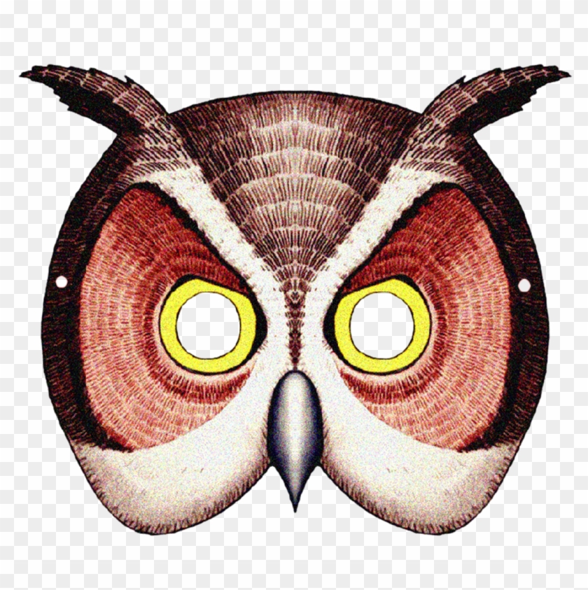 Barn Owl Mask Animal Giant Panda - Barn Owl Mask Animal Giant Panda #572642