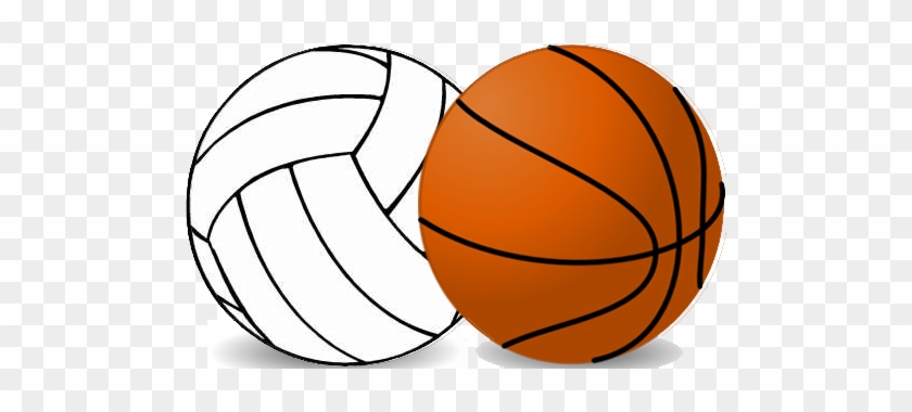 Story Image 1 - Basketball And Volleyball Clipart #572954
