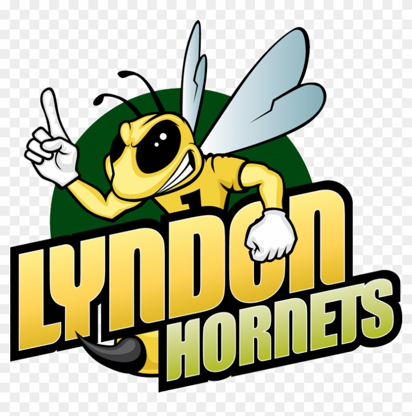 Lyndon State Baseball Scores, Results, Schedule, Roster - Lyndon State College Mascot #573163