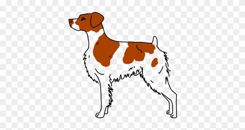 28 Collection Of Brittany Spaniel Drawing - Brittany Spaniel Drawing #573419