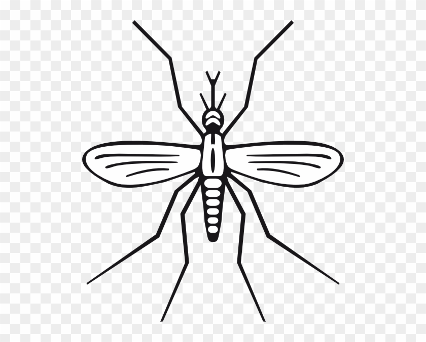 Mosquito Clip Art At Clker - Mosquito Clip Art #573437