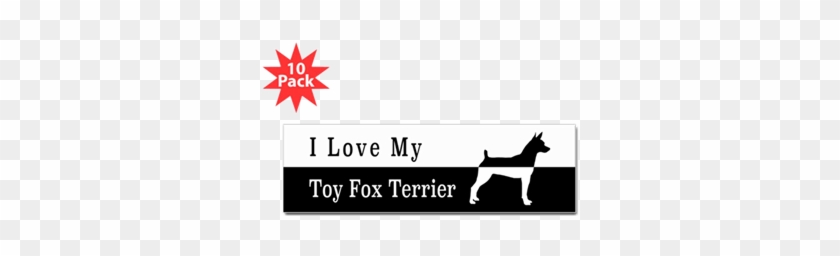 Toy Fox Terrier Bumper Bumper Sticker - Obama Bumper #573805