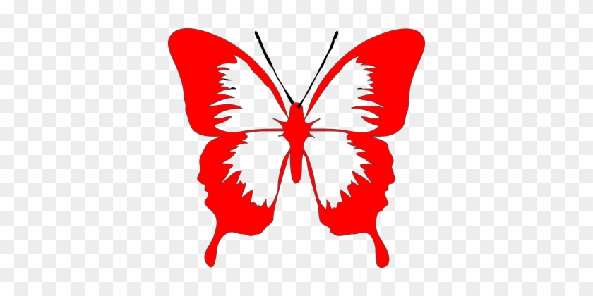 Butterfly, Fly, Moth, Red - Butterfly Clip Art #573965
