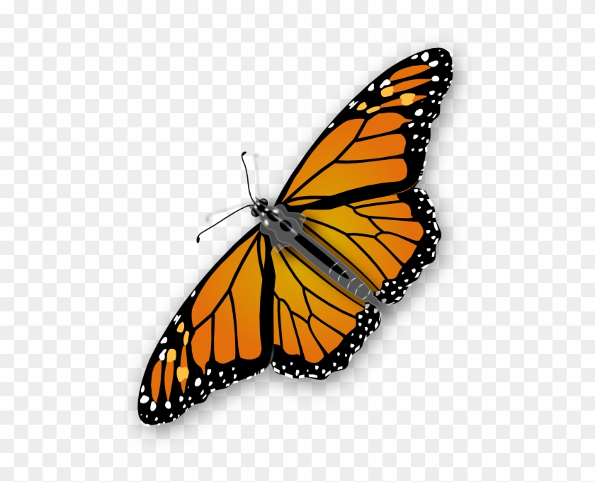 Butterfly Png Image, Free Picture Download - Butterfly Clipart No Background #573990