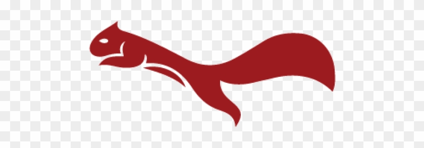 Beautiful, Affordable Designs - Beautiful, Affordable Designs #574291