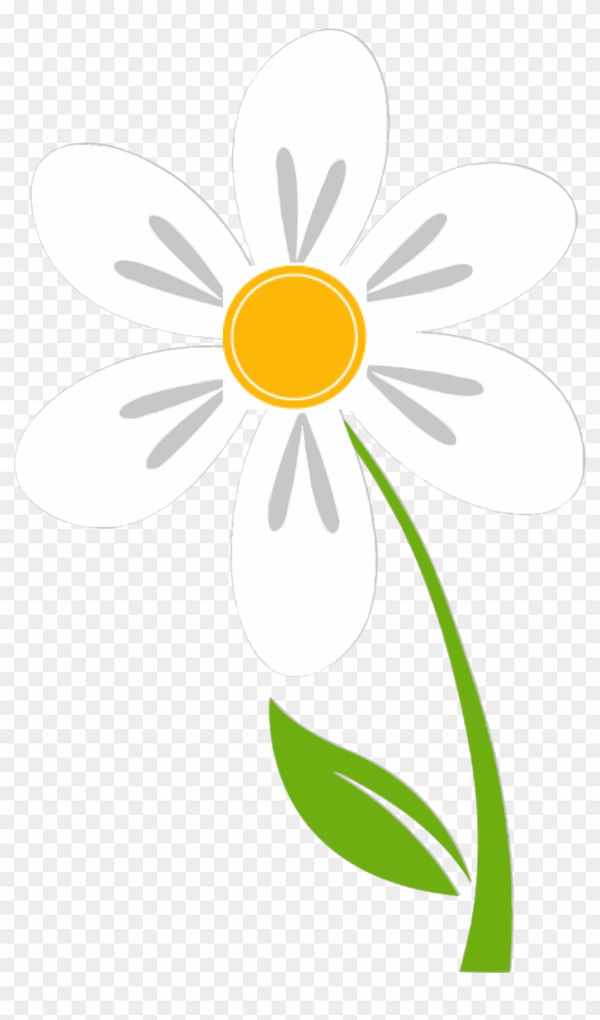 Flower - Flower #574590