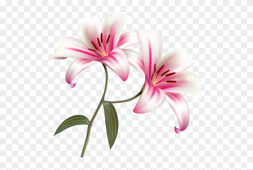 Flowers [преобразованный] - Beautiful Lilies #574631