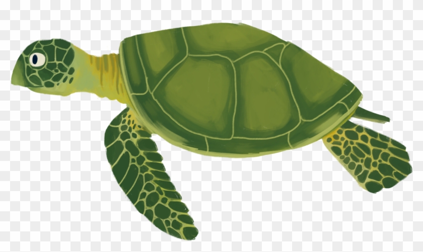 Sea Turtle Animation - Animated Sea Turtle #574681