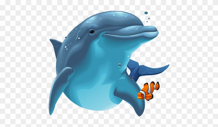 Dolphin Png Image - Dolphin Png #574928