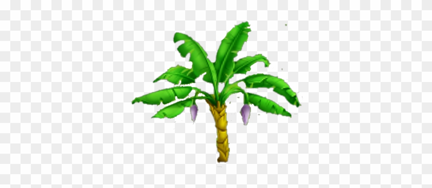 Banana Tree - Banan Tree Png #575090