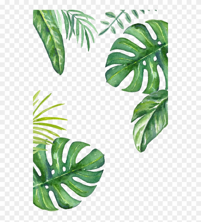 Banana Leaf Wallpaper - Plant Wallpaper Iphone - Free Transparent PNG