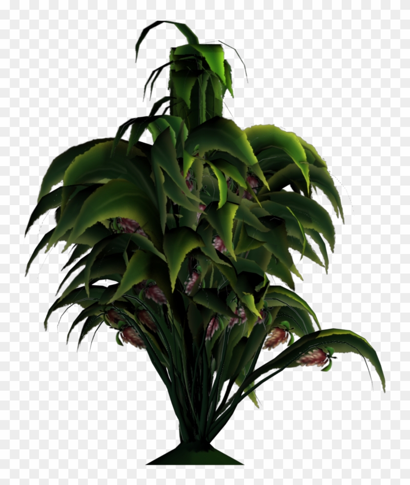 Added By Yorik On - Plant In Png File #575138