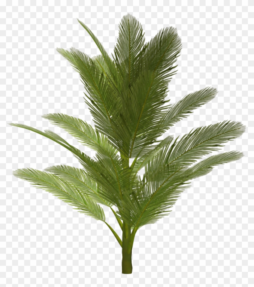 Vegetacao Photoshop #575141