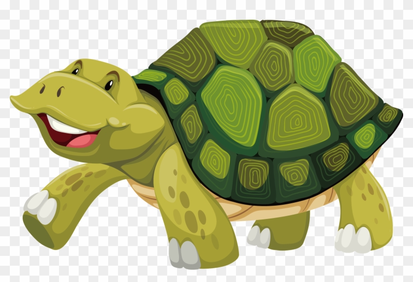 Turtle Shell Stock Photography Illustration - Turtle Shell Cartoon #575181