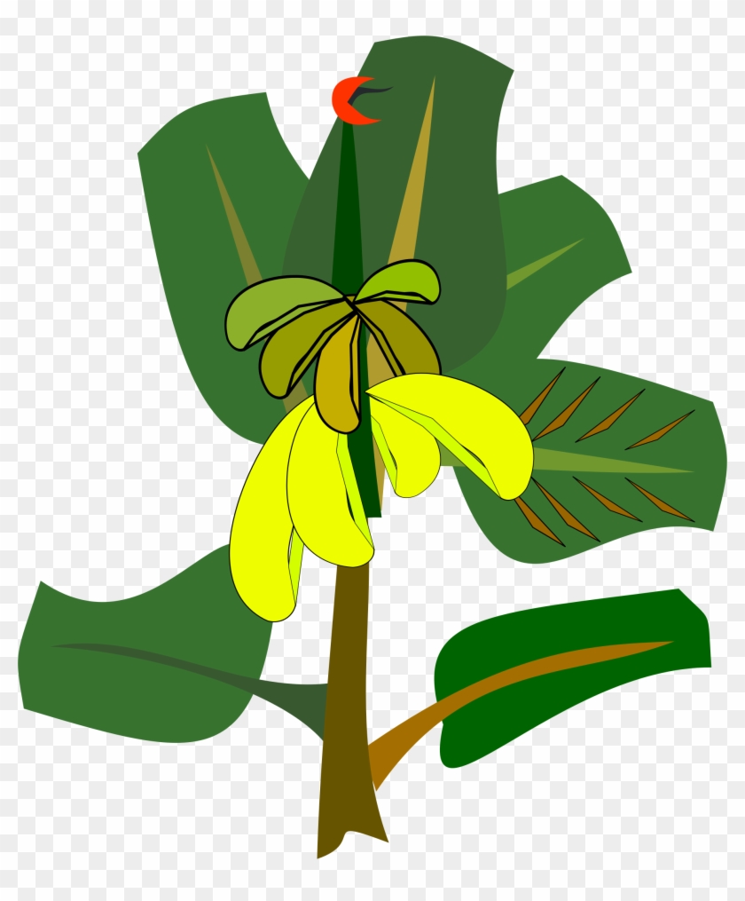 Bananas On The Tree - Banana Tree Tree Clip Art #575197