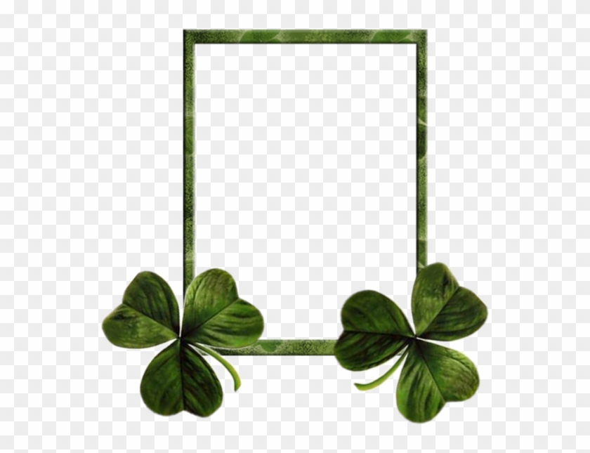 Ireland Saint Patricks Day Shamrock Clover Holiday - Ireland Saint Patricks Day Shamrock Clover Holiday #575272