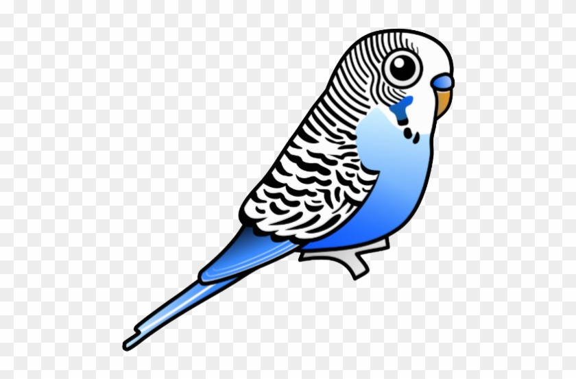 Hoşgeldiniz - Budgie Clipart Black And White #575340