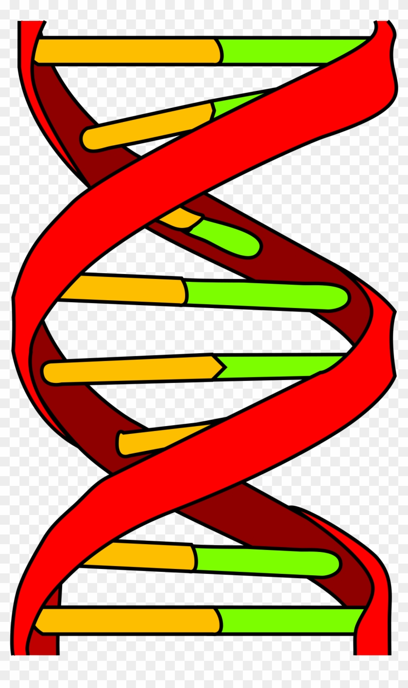 Genetics And Cancer - Dna Icon #575523