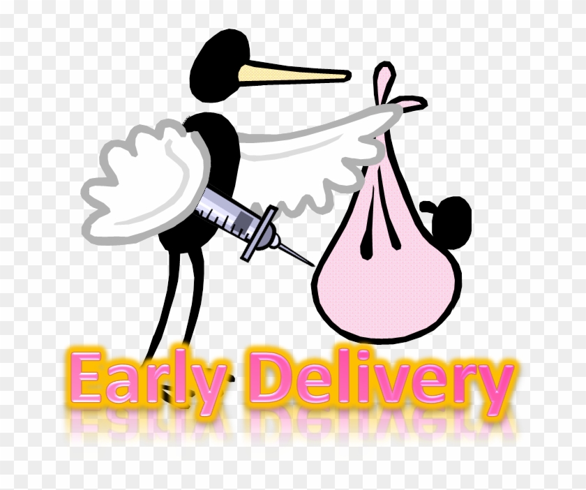 Kidney - Whizbang - Verloskundige #575554