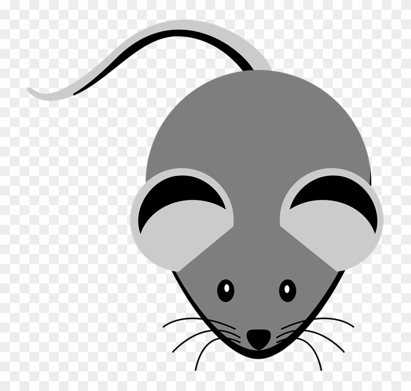 Whiskers Clipart Little Mouse - Grey Clipart #576005