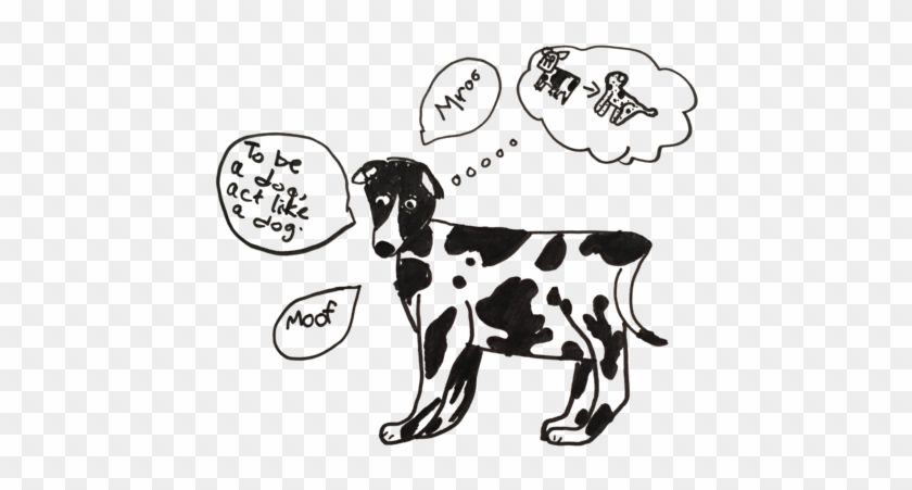 Cow Dog - Dog #576678