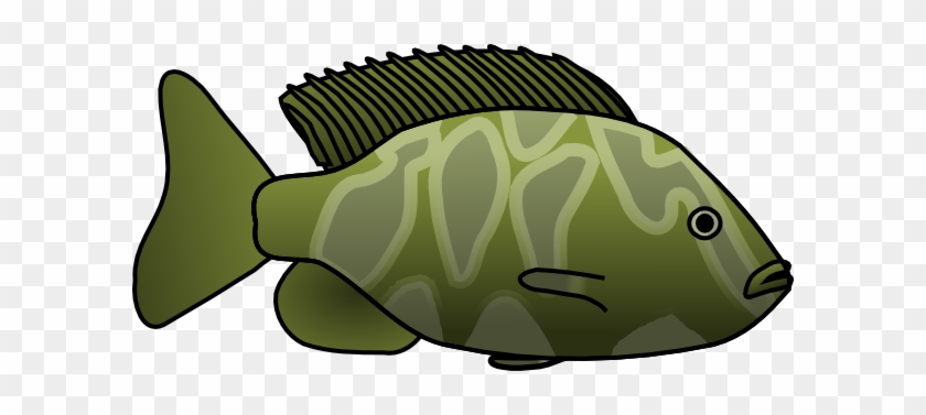 Green Fish Clip Art At Clker - Green Fish Clipart #576911