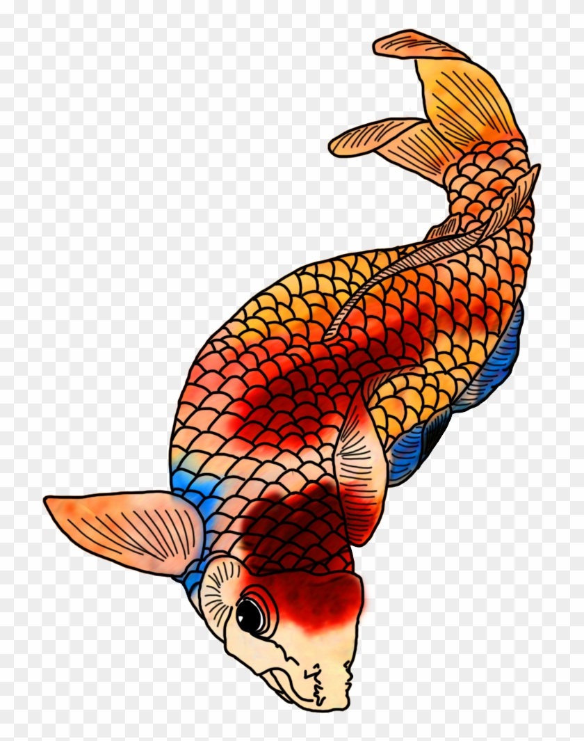 Koi Fish Drawing With Strong Colors - Drawing #577038