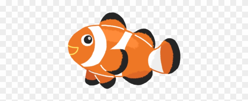 カクレクマノミ - Ocellaris Clownfish #577074