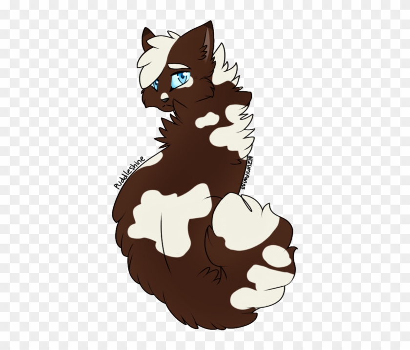 Warrior Cats Puddleshine #577234