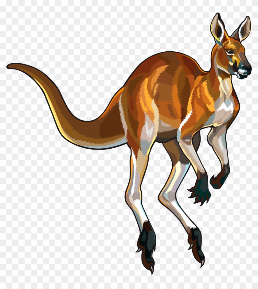 Red Kangaroo Illustration - Kangaroo Png #577276