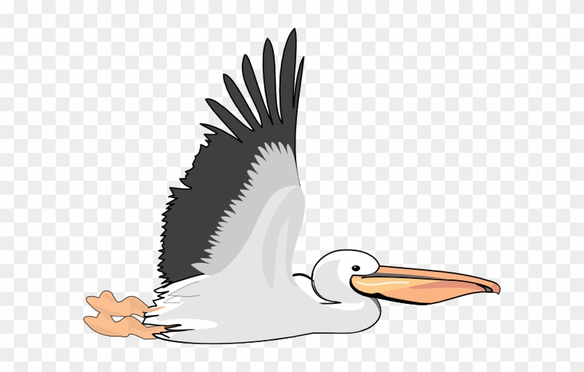 Flying Pelican Clip Art #577285