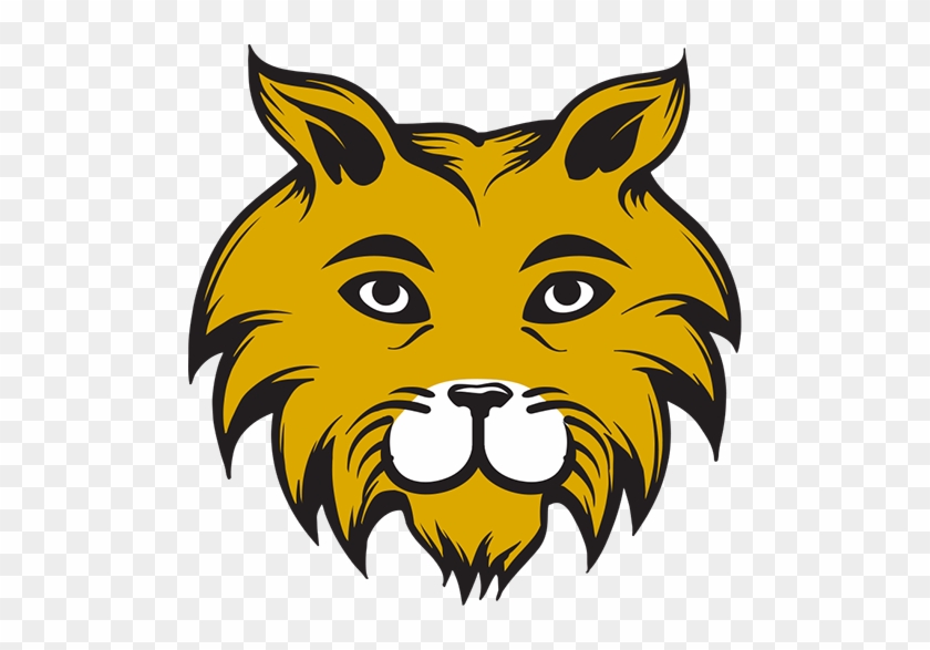 Museum Academy - Wildcat #577458