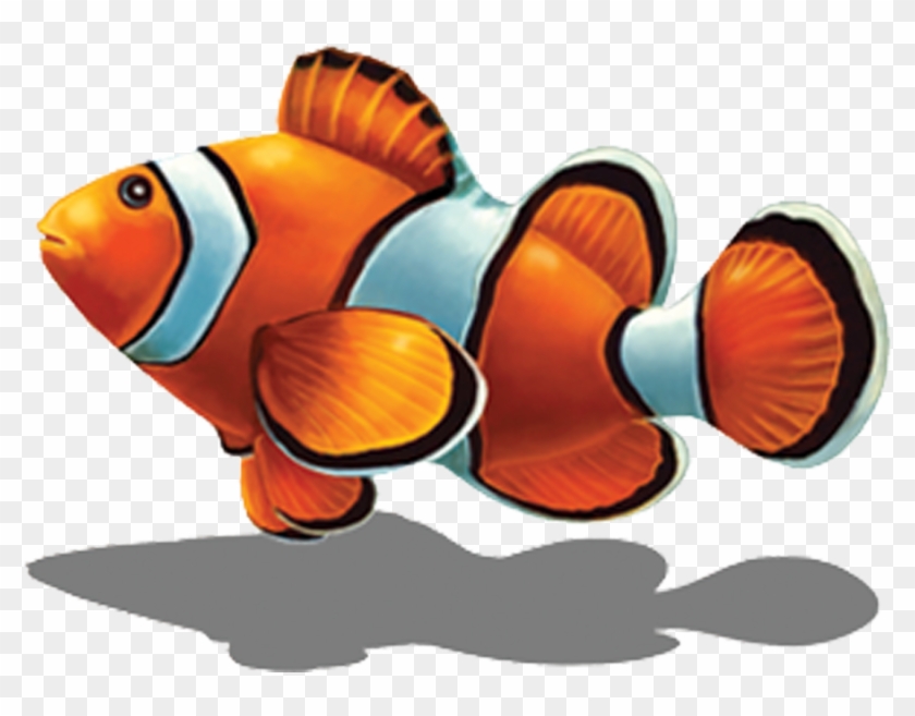 Porc Cl58 5/sh 8"x6" Clown Fish With Shadow Porcelain - Mosaic #577476