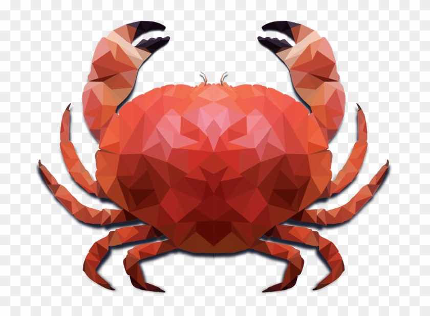 Click On The Images To Enlarge Them - Crab #577684