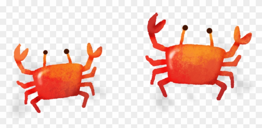 Crabe Euclidean Vector - Crabe Euclidean Vector #577866