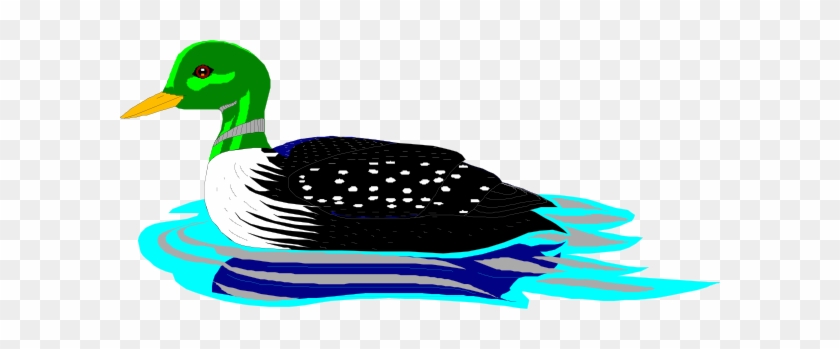 Loon Art Png - Transparent Background Duck Clipart Png #577788