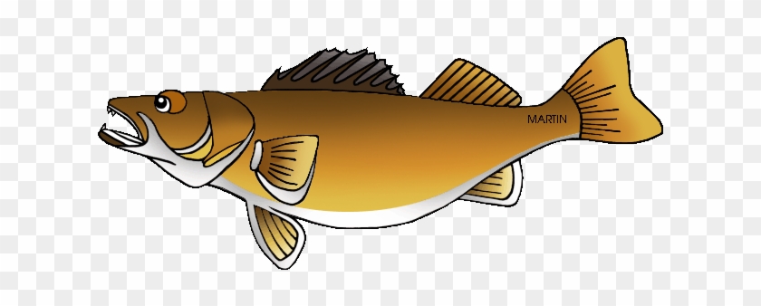 Minnesota State Fish - Clip Art Walleye #578068