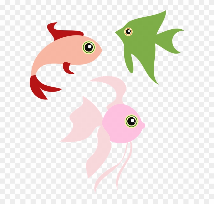 Jelly Fish Clipart 11, - Fish #578211