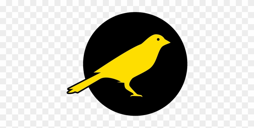 Send Anonymous Emails - Canary Foundation #578748