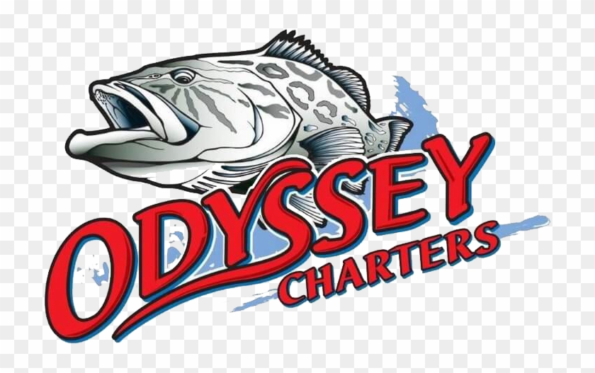 Odyssey Fishing Charters - Odyssey Fishing Charters #579006