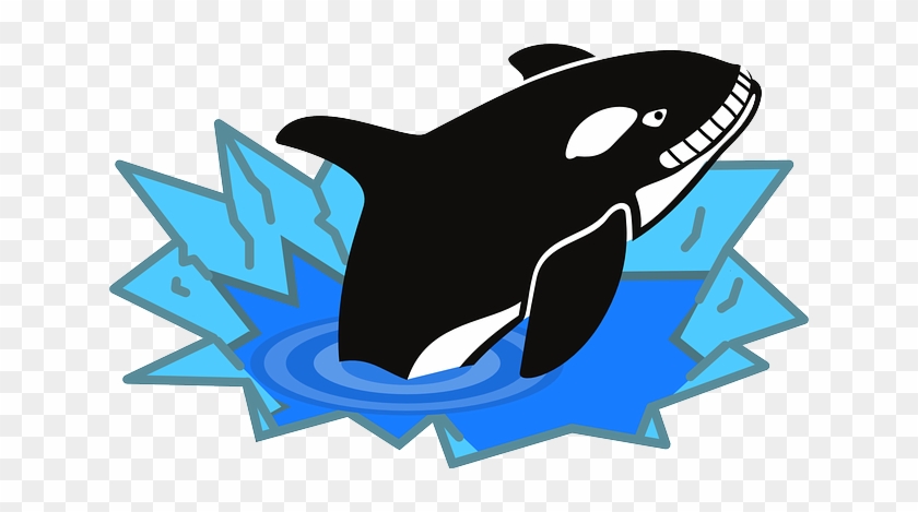 Fish, Penguin Enemy, Polar, Whale, Ocean, Killer - Killer Whale Clip Art #579110