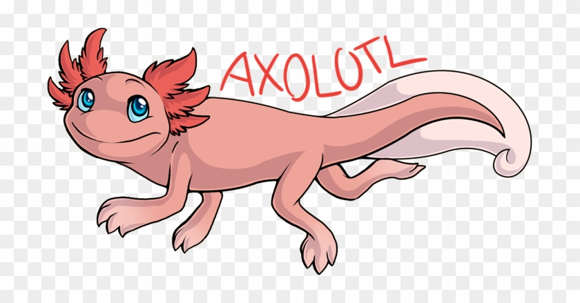 Axolotl By Jedimastermossfur On Deviantart - Axolotl Drawing #579201