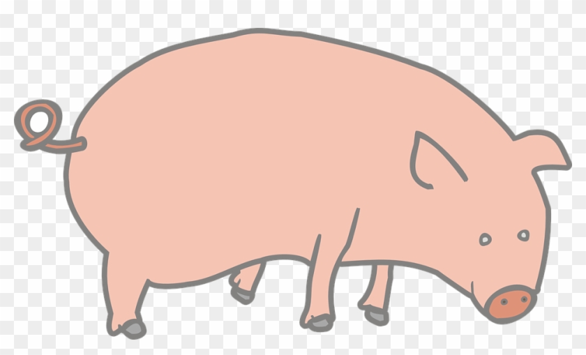 Outline, Marcelo, Drawing, Cartoon, Farm, Pink - Pig Clip Art #579244