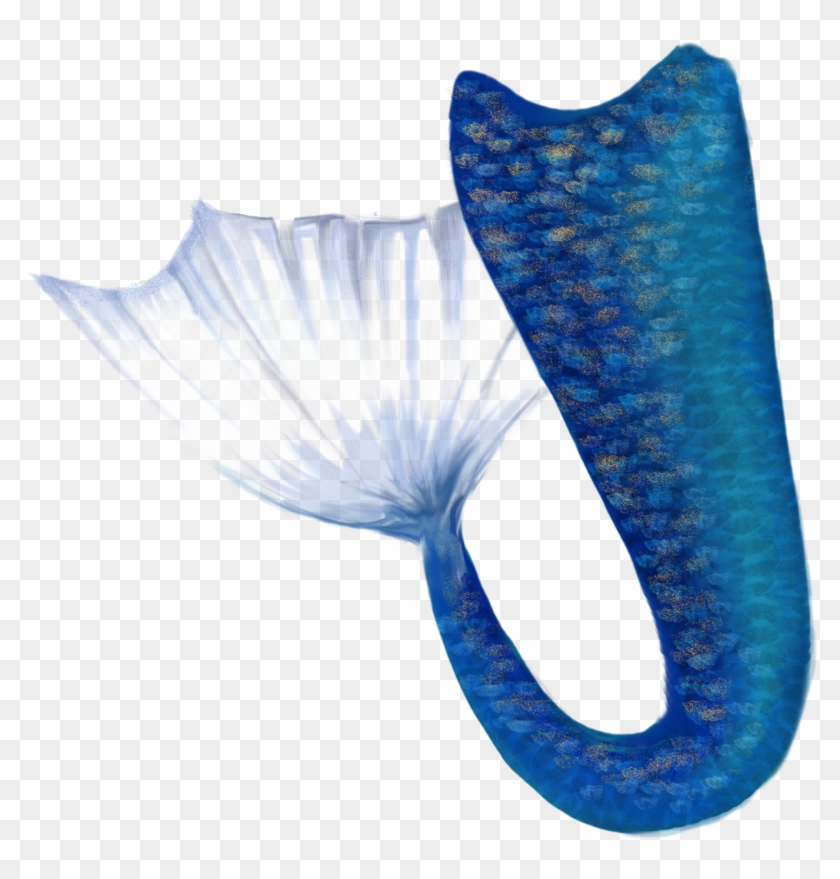 Mermaid Tail Png - Mermaid Png #579364