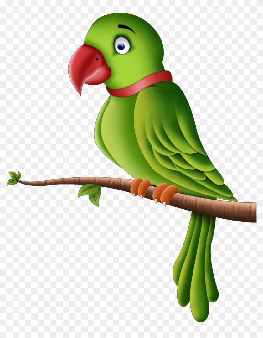 Download Parrot Png Transparent Images Transparent - Parrot Png #579547
