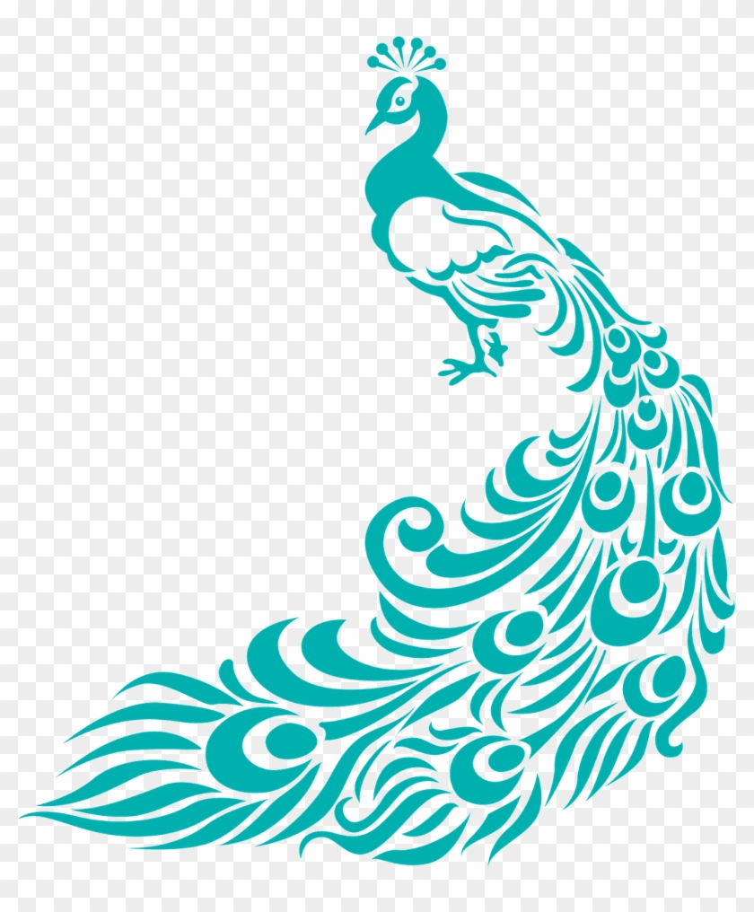 Simple Colorful Peacock Drawing - Border Design For Assignment #579553