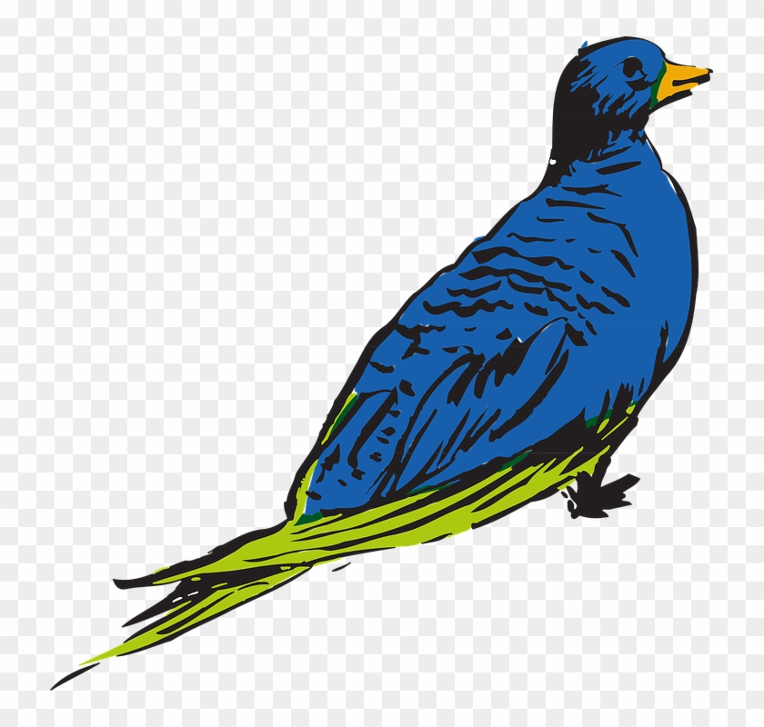 Blue, Drawing, Bird, Wings, Animal, Feathers - Bird #579561